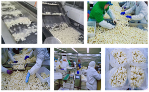Verduras congeladas nutritivas <span class=keywords><strong>Coliflor</strong></span> <span class=keywords><strong>congelada</strong></span> baja en carbohidratos para una elección saludable - Product Image 6