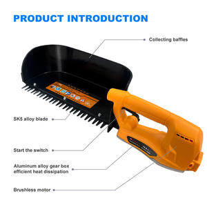 Meilleurs prix, machine à cueillir le thé multifonctionnelle, commerciale, pour la récolte du thé, machine à cueillir le thé comme kewi - Product Image 3