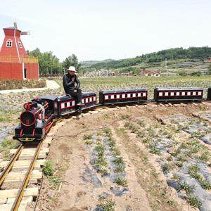 Trains électriques adaptés à divers terrains de jeux pour <span class=keywords><strong>enfants</strong></span> et parcs de vacances, <span class=keywords><strong>capables</strong></span> d'escalader <span class=keywords><strong>des</strong></span> collines - Product Image 2