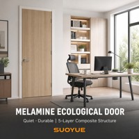 Porte intérieure moderne en mélamine avec texture de surface uniforme pour dortoir scolaire et salle de classe