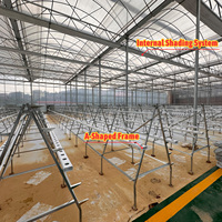 Serre agricole Baolida à simple travée, grande structure en PE, pour la production de laitues en hydroponie