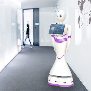 <span class=keywords><strong>Robot</strong></span> d'accueil en vente chaude, <span class=keywords><strong>robot</strong></span> de service d'accueil avec navigation laser, <span class=keywords><strong>robot</strong></span> d'accueil - Product Image 6