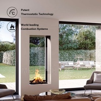 Cheminée à gaz intérieure MEISU.CH Csa avec armoire de réglage de la flamme en verre sous foyer noir
