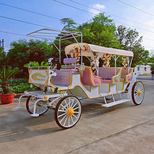 Chariot de tourisme à chevaux pour visites urbaines, faible MOQ, vente en gros - Product Image 2