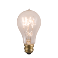 Lampe suspendue, ampoules incandescentes antiques 40W 60W A19 A21 A23, ampoule Edison à filament de tungstène vintage transparente pour décoration de café