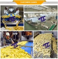 Ligne de production entièrement automatique de frites-Machine de traitement de frites et de croustilles surgelées à petite échelle