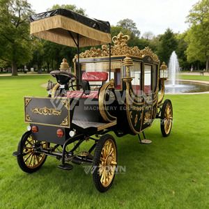 Chariot photo de mariage extérieur électrique noir mat doré, avec toit à franges, pneus antidérapants et alimentation au lithium - Product Image 5