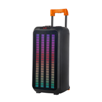 NDR1098 Haut-parleur stéréo actif double de 8 pouces pour karaoké extérieur Mic sans fil LED RVB pour Bluetooth USB DJ Batte