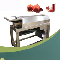Commerciële apparatuur voor het pellen en scheiden van granaatappels, complete set voor diepgaande verwerking van granaatappelsap en fruitwijn