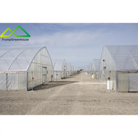 Serre tunnel agricole entièrement automatisée à simple travée en film de polyéthylène, idéale pour la culture de légumes, fruits et fleurs.