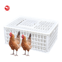 Cage à poulets en plastique 900*600*405 mm, prix des cages à volailles pour élevage de poulets de chair