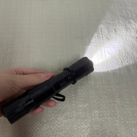 KT-1101 Idéal pour les travaux forestiers, coque antichoc et cordon de poignet détachable, unité d'éclairage portable