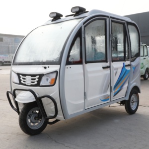 Mini <span class=keywords><strong>coche</strong></span> eléctrico de seis puertas resistente a la intemperie 800W <span class=keywords><strong>Smart</strong></span> New Energy EV triciclo eléctrico con 5 asientos mejor para viajes de corta distancia - Product Image 2