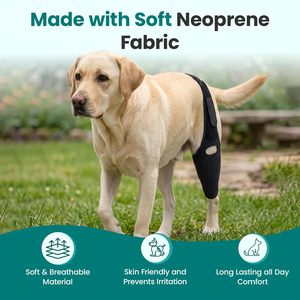 Adjustable Dog Knee <b>Brace</b> Protecter Hip <b>Brace</b> Support for Torn ACL with Side Stabilizers Neoprene Dog Hind Leg <b>Back</b> Leg Support - Product Image 3