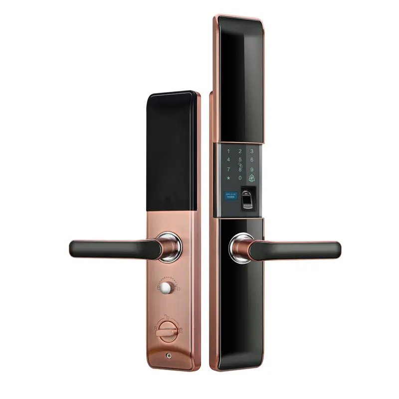 Biometric Fingerprint handle Outdoor gate House smart door Lock with TUYA WiFi for metal door home cerradura inteligente mortise