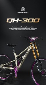 Bicicleta de Montaña Downhill de 24/26/27.5 Pulgadas, Directo de Fábrica, Aleación de Aluminio, 10 Velocidades, Cambio de Marchas Blueprint, Suspensión Trasera Doble - Product Image 5