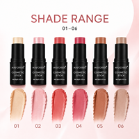 Stock disponible – 6 couleurs – Stick blush crémeux, lisse, aspect naturel, longue tenue – Prix de gros, approvisionnement en vrac, OEM ODM – Maquillage visage
