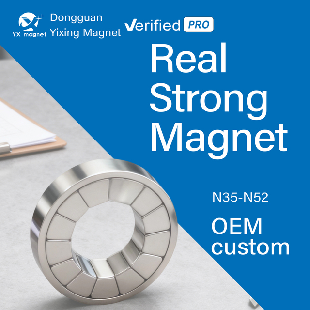 OEM High Performance N52 Neodymium Magnet Halbach Array Arc Magnet Permanent Segment Block Strong Magnetic Module