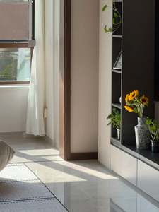 Meubles de luxe modernes, salon, canapé, table basse, meuble TV, ensemble de salon, solutions complètes - Product Image 4