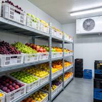 Sistema de Congelación Rápida con Compresor de Tornillo de Alta Calidad para Cámaras Frigoríficas Industriales de Ahorro Energético para Plantas de Alimentos Congelados