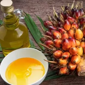 Pengilap Minyak Mentah Yang Dapat Dimakan/Penghalus/Pengolahan/Harga Mesin untuk Kelapa Sawit Biji Bunga Matahari Alpukat Minyak Goreng