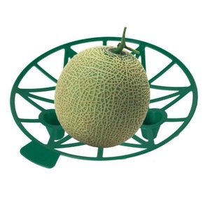 Support de melon, plateau de maintien pour pastèque, support de fruits de jardin pour la culture de citrouilles et de courges - Product Image 2