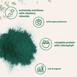 OEM Super verde in polvere integratore sanitario 100% Spirulina naturale per uso alimentare in polvere organica - Product Image 2