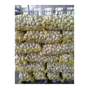 <span class=keywords><strong>Ail</strong></span> frais chinois à bas prix 20kg sac <span class=keywords><strong>en</strong></span> maille paquet <span class=keywords><strong>ail</strong></span> blanc <span class=keywords><strong>ail</strong></span> blanc normal pour l'exportation - Product Image 5