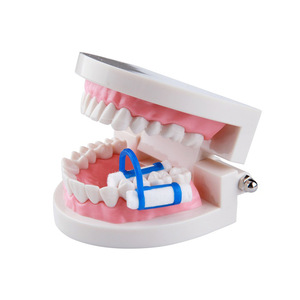 Pinzas para rollos de algodón dentales, desechables, para fijación en el cuidado bucal, para uso doméstico y comercial - Product Image 2