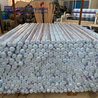 Million 55g Bâche en polypropylène (PP) enduite de couleur rayée bleue pour la Thaïlande, Bâche rayée bleue, Bâche en PP