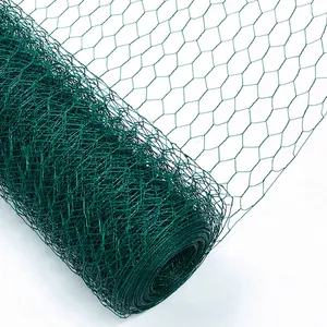 Widely Application Chicken Wire /poultry Cage Mesh /Galvanized Hexagonal Wire Netting