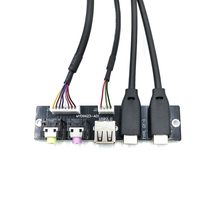 Cable Interno para Panel Frontal de Ordenador, USB 3.1 Tipo-C Hembra, Conector de Audio, Material PVC, Carga Rápida 3A, 60cm/Largo Personalizable