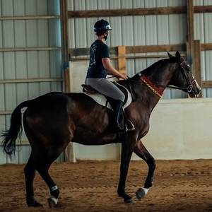 Collier de cheval en polyester solide et luxueux, rechargeable par LED, réglable, durable, avec lumière pour <span class=keywords><strong>une</strong></span> utilisation nocturne - Product Image 3