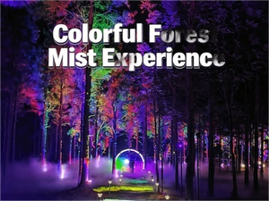 Système de brumisation à froid haute pression, brumisation paysagère commerciale, acier inoxydable 304, capacité de 50 à 500 L/h, utilisé dans les parcs, les centres commerciaux - Product Image 2