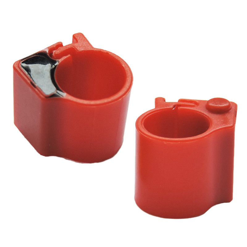 Pigeon Anneaux Rouge