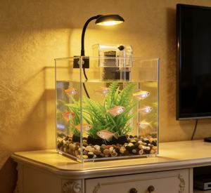 <span class=keywords><strong>Acuario</strong></span> de Escritorio Cuadrado Pequeño Ultra Blanco, Micro-Paisaje, Tanque de Acrílico Ecológico de 1L, para Hogar, Oficina, Sala de Estar - Product Image 5