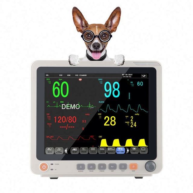Veterinary Used Multi - Parameter Monitor ECG,SPo2,PR,NIBP,TEMP, RESP With VGA Output