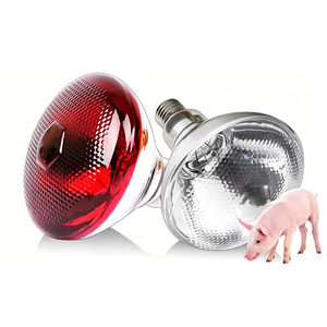 <span class=keywords><strong>Lampe</strong></span> <span class=keywords><strong>chauffante</strong></span> infrarouge pour porcelets, émetteur de chaleur à filament épais, spot chauffant infrarouge, ampoules chauffantes pour élevage de volailles et couveuses - Product Image 1