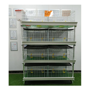 Commercio all'ingrosso della fabbrica 4 livelli 2 porte tipo <span class=keywords><strong>H</strong></span> galvanizzato automatico bettery gabbia di pollo per la cultura della fattoria - Product Image 3