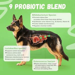 Probióticos para Perros OEM/ODM de Marca Privada con Prebióticos, Promueve un Microbioma Intestinal Equilibrado, Refuerza la Salud Inmunológica, Masticables Blandos - Product Image 3