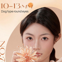 BQI Puppy/ Fox Eye Series 10-13mm Faux cils segmentés faciles à utiliser Faux cils très naturels doux et épais