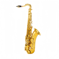 Profesional Bb Tenor Saxophone Gold Lacquer Surface Brass Body B-flat Bakelite Mouthpiece Woodwind Instruments with Accessories