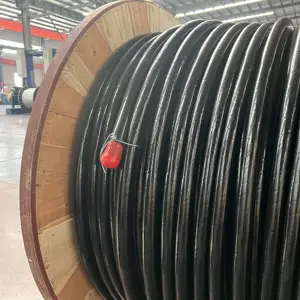 1kv Low Voltage Aerial Bundled ABC Cable PVC/PE/XLPE Insulated Overhead Wire Cable Electric Wire Cable