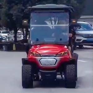 Tongcai รถเข็นสำหรับผู้ใหญ่48V, 5KW โครงเหล็กมอเตอร์รถรับส่งอิสระสำหรับรถรีสอร์ท - Product Image 2