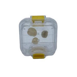 Dental Box Plastic Portable Denture Box With Film Clear Membrane Dental Box