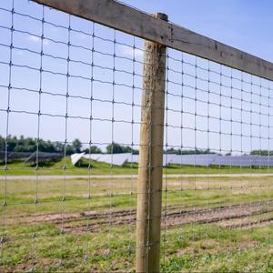 Hàng rào dệt mạ kẽm bền và bền Bán Chạy nhất thích hợp cho gia súc, cừu, dê và Lợn - Product Image 1