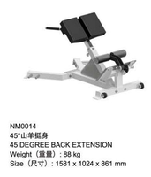 Machine de musculation en acier inoxydable pour salle de sport - Équipement d'exercice d'extension du bas du dos à 45 degrés avec option de logo personnalisé