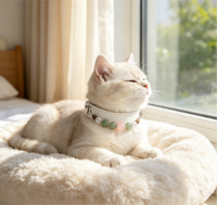 Collier pour animaux de compagnie en cuir PU réglable, orné de perles de pierres précieuses classiques faites à la main, avec collier en cristal pour chats et chiens, cadeau pour les amoureux des animaux