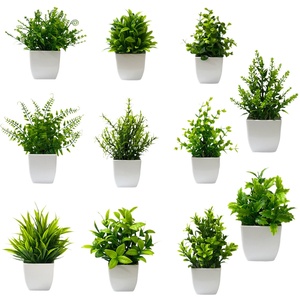 Mini Bonsaïs Artificiels en Plastique Écologiques et Résistants pour la Décoration de la Maison et du Bureau - Product Image 5