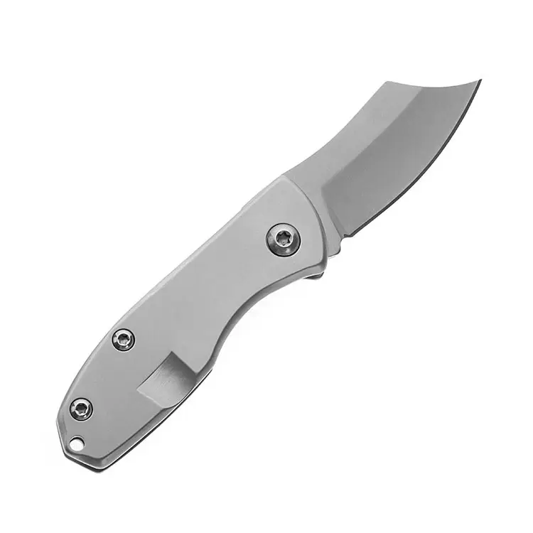 Açık taşınabilir EDC Mini meyve bıçağı titanyum çok aracı pense katlanır bıçak Survival kamp cep paslanmaz çelik bıçak